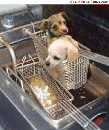 la cuisine